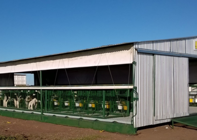 Guachera móvil para la cría de Terneros